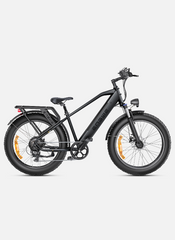 Engwe E26 Electric Bicycle